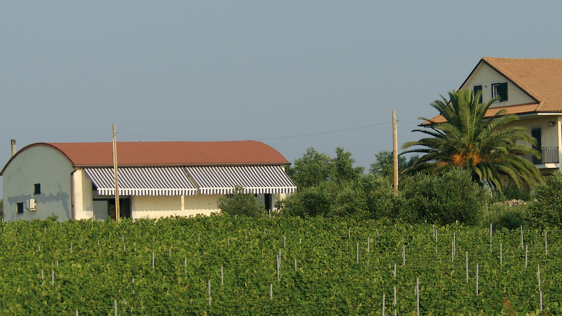 recadrée-Azienda.jpg